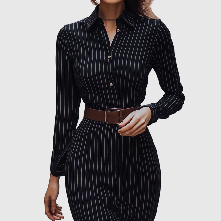 Levra | Pinstripe Shirt Dress