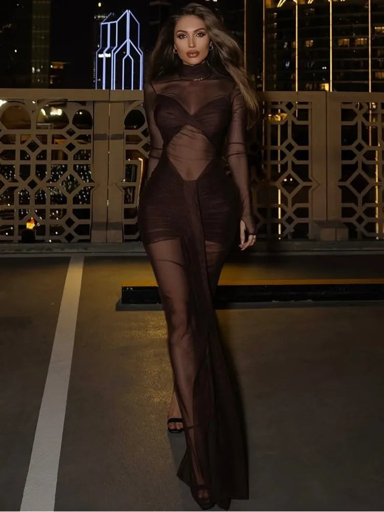 Elara | Sheer Mesh Pleated Maxi Dress
